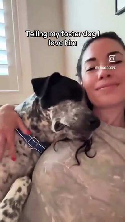 Dogs absolutely know when they’ve been saved
