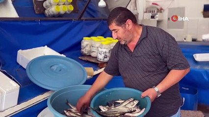 İnci kefali tezgâhlarda yerini aldı