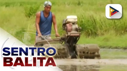 Pag-review sa Rice Tariffication Law, ipinanawagan ng ilang mga senador | ulat ni Daniel Manalastas