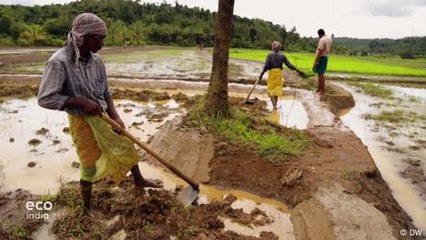 The economic cost of climate change and how to adapt