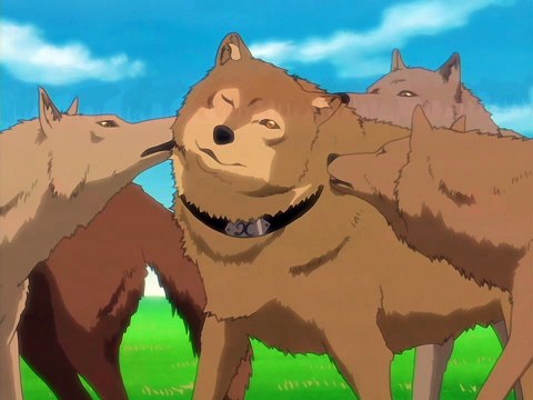 Wolfs Rain - EP.08 English dub - video Dailymotion