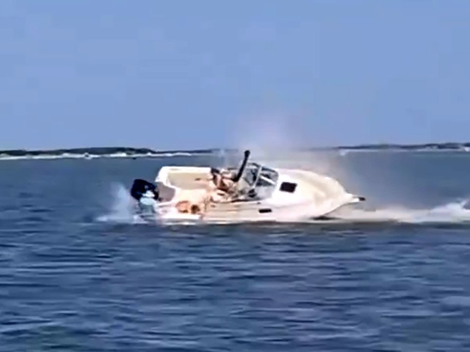 Wal kracht in Boot: Mann geht über Bord