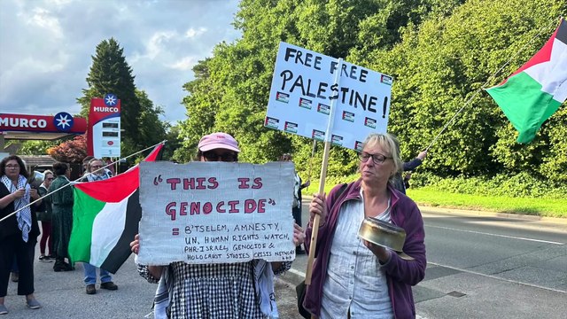 See pictures and video from Solidarity 4 Palestine Haslemere protest outside the Hindhead office of MPs Jeremy Hunt and Greg Stafford