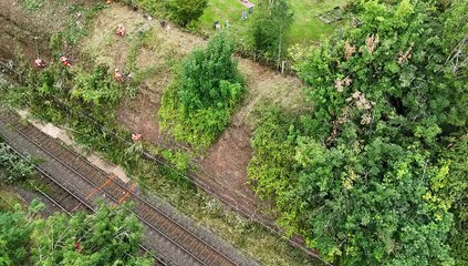 Trees being removed from a cutting near Lichfield by Network Rail engineers