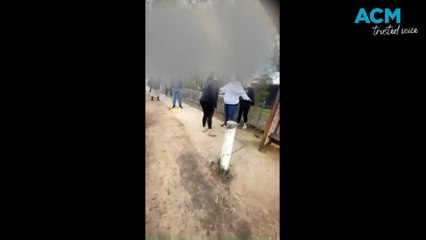 Canberra woman allegedly pushed by police officer before arrest