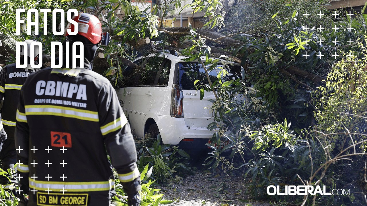 Árvore cai e atinge 5 carros no bairro de Nazaré, em Belém