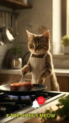 # THE CHEF'S MEOW