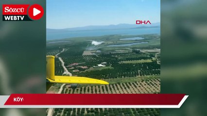 Köyceğiz Gölü yakınlarındaki sazlık yangınında 1 hektar alan zarar gördü