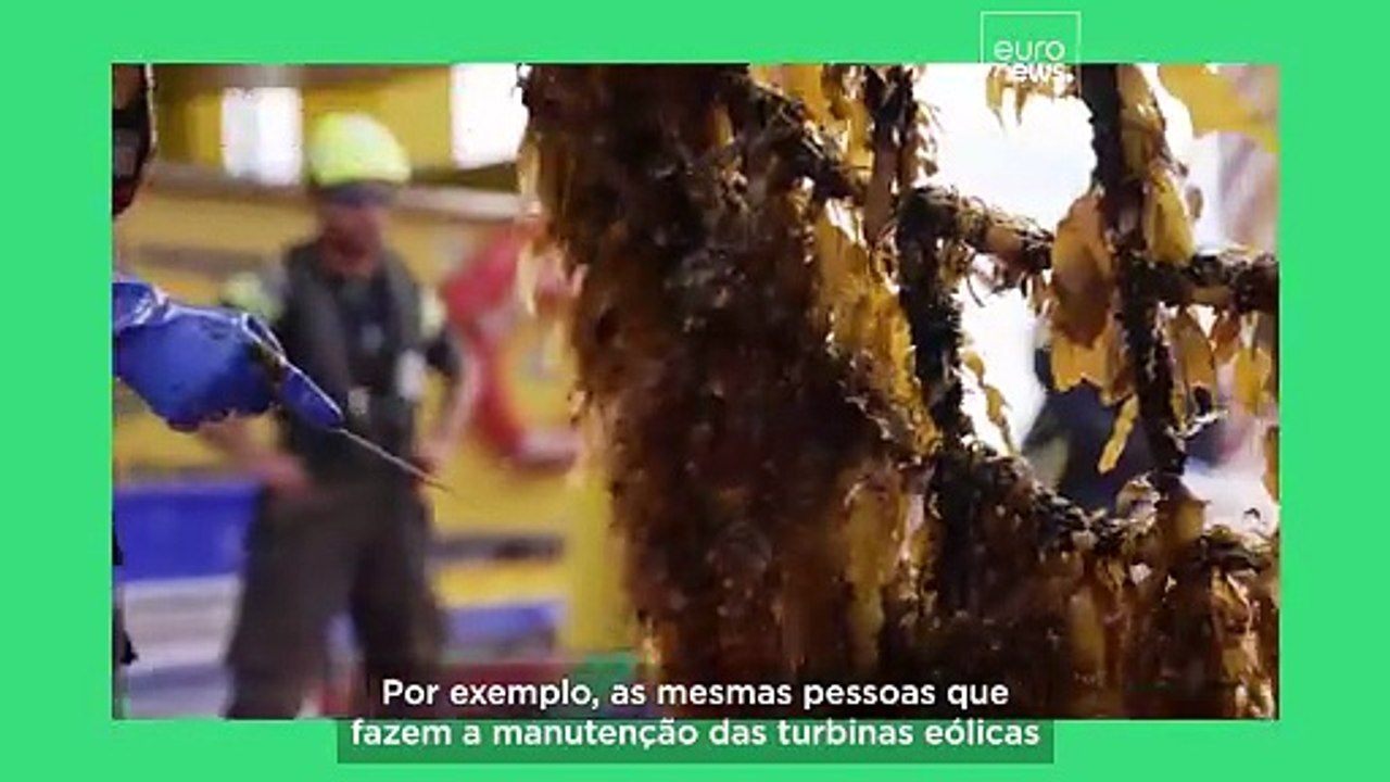 Partilhar o mar: poderão os conceitos polivalentes ser uma solução para a disputa pelo alto-mar?