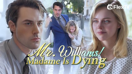 ❤️‍Mr. Williams! Madame Is Dying: Watching My Ex Cry Over the Shredded Vows #movie #reels #shorts