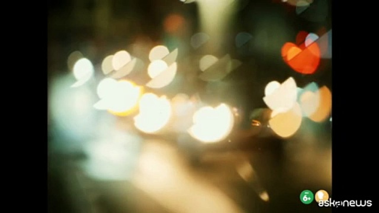 Festival Toronto, "Tre ciotole" da Murgia e "Primavera" di Michieletto