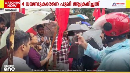 4 വയസുകാരനെ പുലി ആക്രമിച്ച മലക്കപ്പാറ വീരാൻകുടിയിലെ ആദിവാസി കുടുംബങ്ങൾ ഫോറസ്റ്റ് ഓഫീസ് ഉപരോധിച്ചു