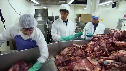 Dirty Jobs - Bologna Maker