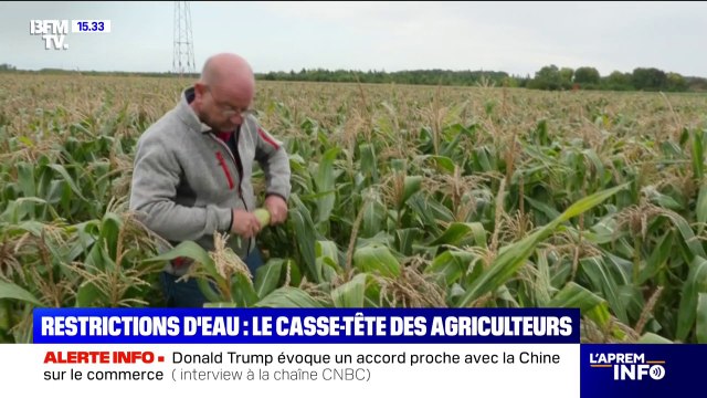 Sécheresse: le casse-tête des agriculteurs qui doivent s'adapter aux restrictions d'eau