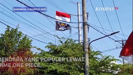 Menhan Sjafrie Blak-blakan soal Pengibaran Bendera One Piece di Bawah Bendera Merah Putih