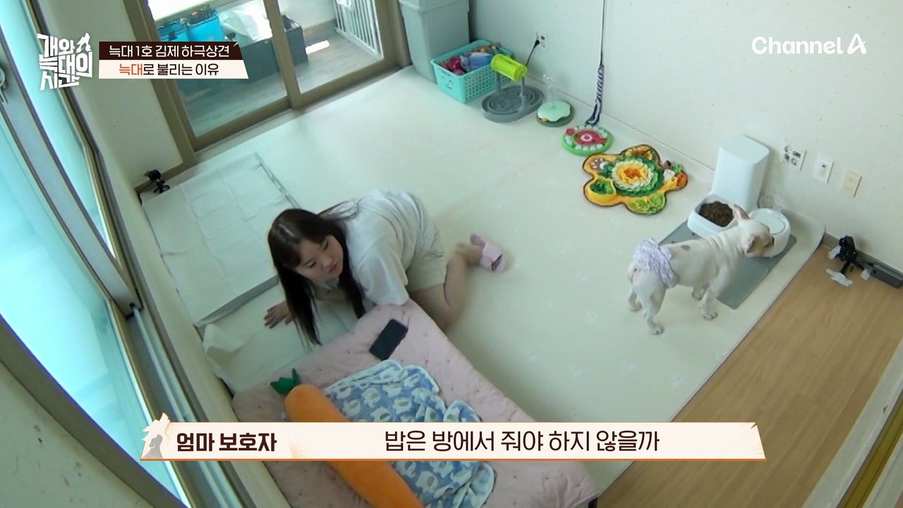 선을 넘어버린 나의 반려견! '입질' 때문에 보호자도 다쳤었다?!