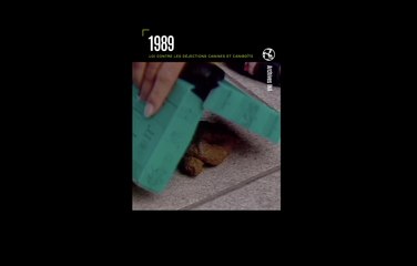 1989 : Propreté à Paris proposition de loi contre les déjections canines et Caniboîte