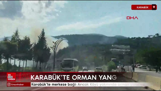 Karabük’te merkeze bağlı Arıcak Köyü yakınında orman yangını