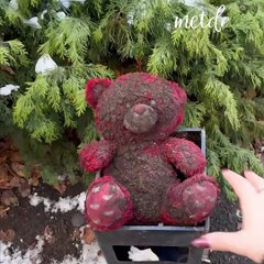 The cleaning transformation of a dirty teddy bear found in the trash! 🧸🧼