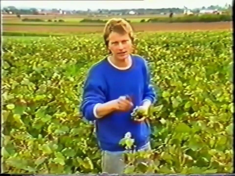 DIE ÄRZTE - LIVE AUS DEM ALABAMA 12.10.1987 Skandalauftritt