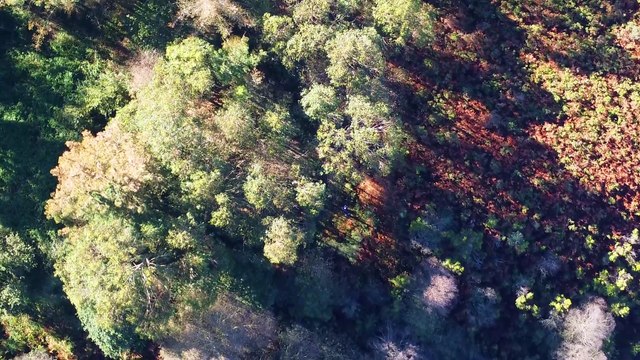 🛩️Volvemos A Volar Con El Dron En El Mismo Lugar Pero Sin Viento🌬️ (21° Ep.)