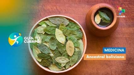 Descubre la Medicina Ancestral Boliviana: Tradición y Sabiduría Indígena 🌿