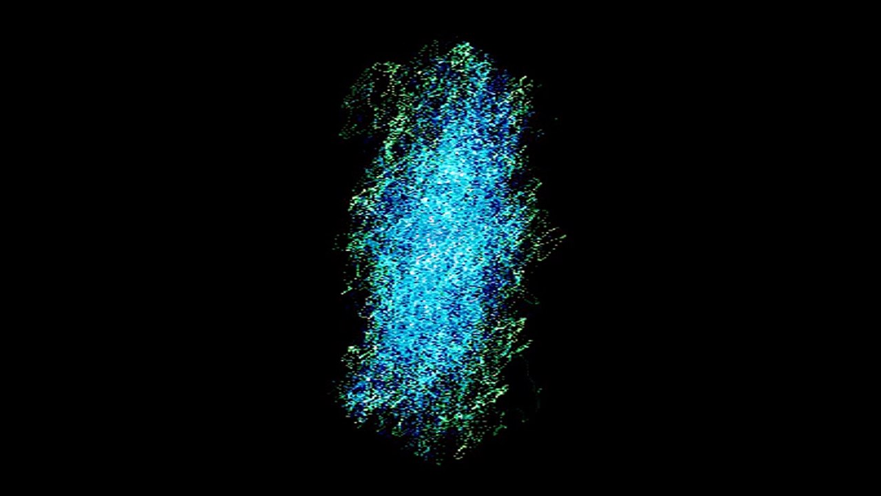 Yang Shing Shang Tong Ling  Lang Bong  2016