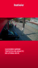 Cachorro impede tentativa de assalto no litoral de SP