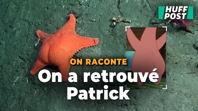 Sur YouTube, les explorations de ce robot sous-marin cartonnent auprès des Argentins