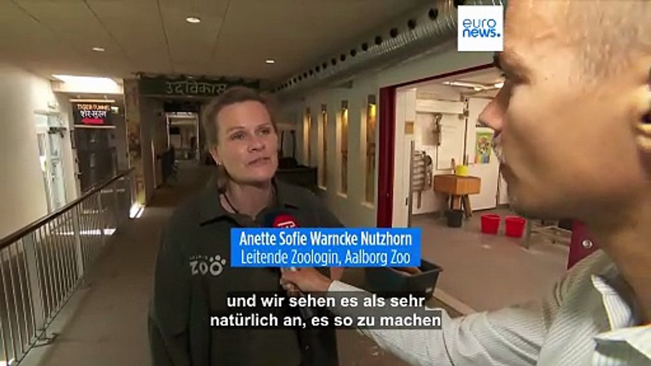 Dänischer Zoo bittet um Kleintierspenden zur Fütterung seiner Raubtiere