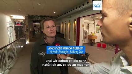 Dänischer Zoo bittet um Kleintierspenden zur Fütterung seiner Raubtiere