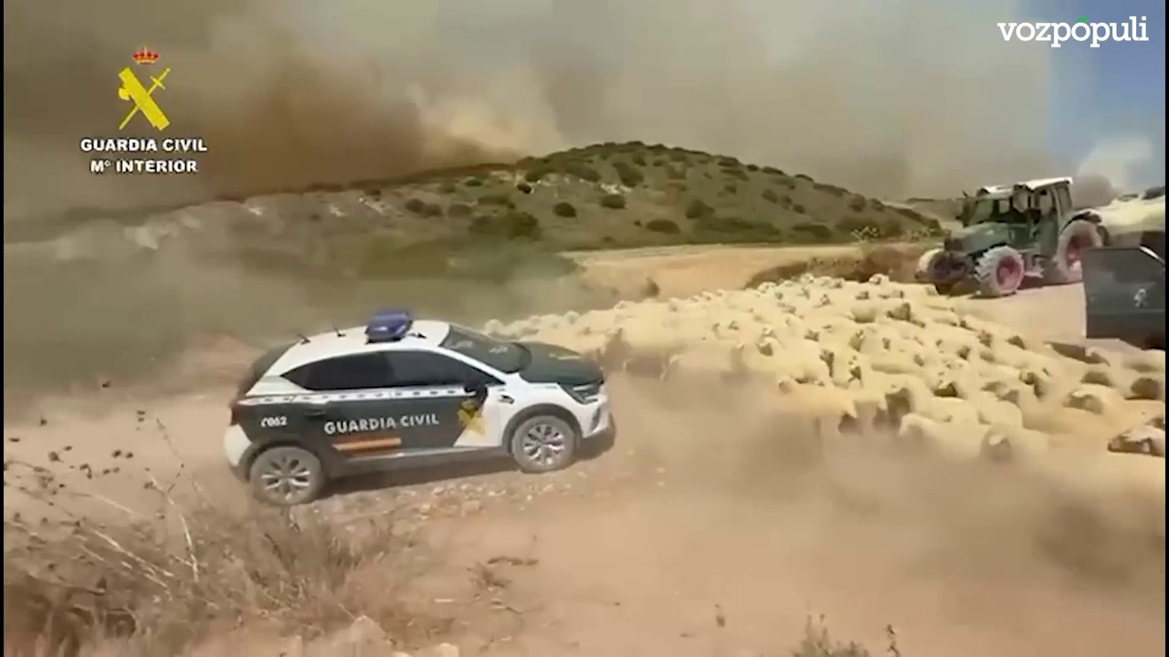 Desalojo de la Guardia Civil de un corral con 400 ovejas por un incendio en Navarra