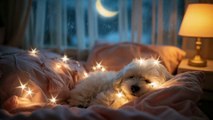 Musique de Nuit pour Bébé – Berceuse Magique et Relaxante pour le Sommeil Profond