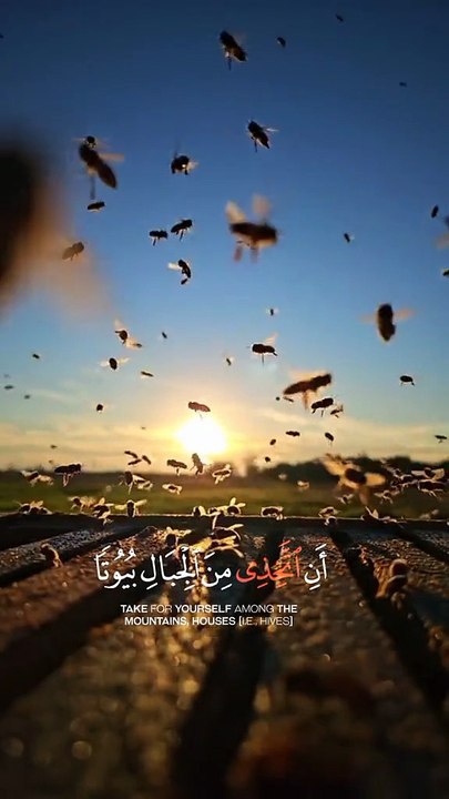 🔥Ayet e Quran | Real Voice | Verses of Quran ❤