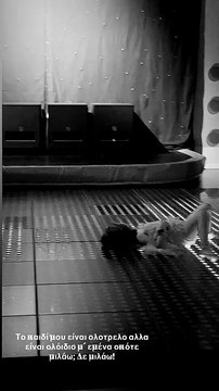 Αθηνά Οικονομάκου: «Το παιδί μου είναι ολότρελο» - Το βίντεο με τον ξέφρενο χορό της κόρη της