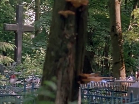 Похищение чародея.