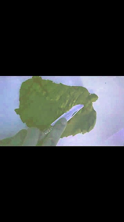 Satisfying Kinetic Sand Cutting Sounds _ ASMR Short #kineticsand #asmr #satisfying #asmrshort (1)