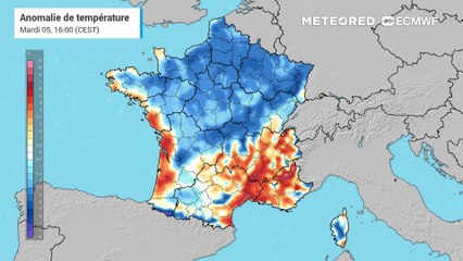 Vague de chaleur : des températures caniculaires attendues en fin de semaine