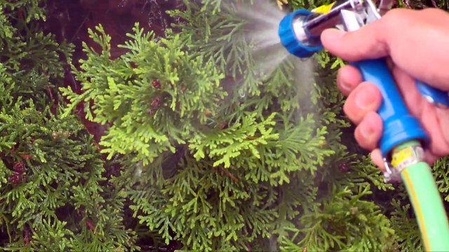 5 aout TOPO AD Eau Tracadie