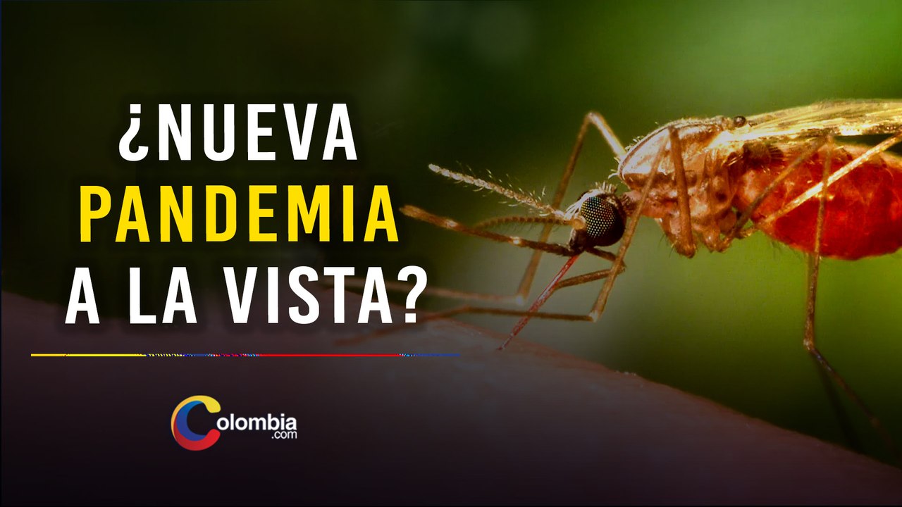 Alarma mundial por brote de Chikungunya en China: más de 7.000 casos y temor por expansión global