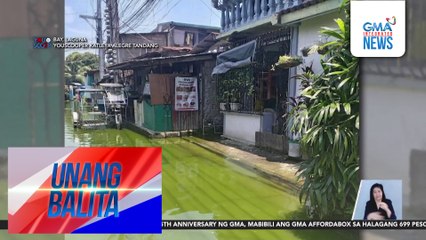 Kulay-berdeng baha na mabaho at makati raw sa balat, inirereklamo ng ilang residente | Unang Balita