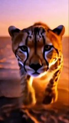 🔥 “0–Wild in 5 Seconds. Rage Unleashed.”see you on the next rage🔥