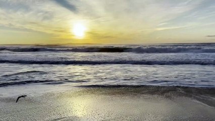 Cronulla big seas, beach erosion