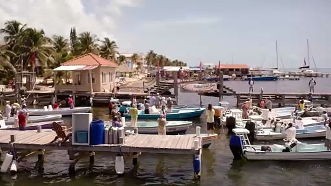 Looking Through Water Movie