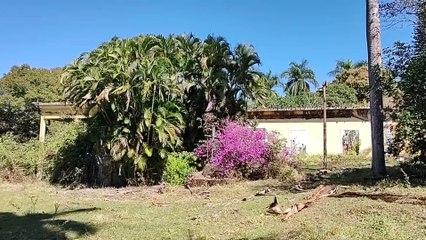 MANSÃO ABANDONADA LINDA E MISTERIOSA - FIQUEI COM PENA DE VER O ESTADO QUE ELA SE ENCONTRA