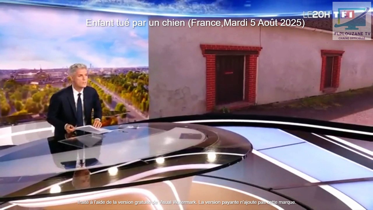 Actualités : Un enfant tué par un chien (France,Mardi 5 Août 2025)