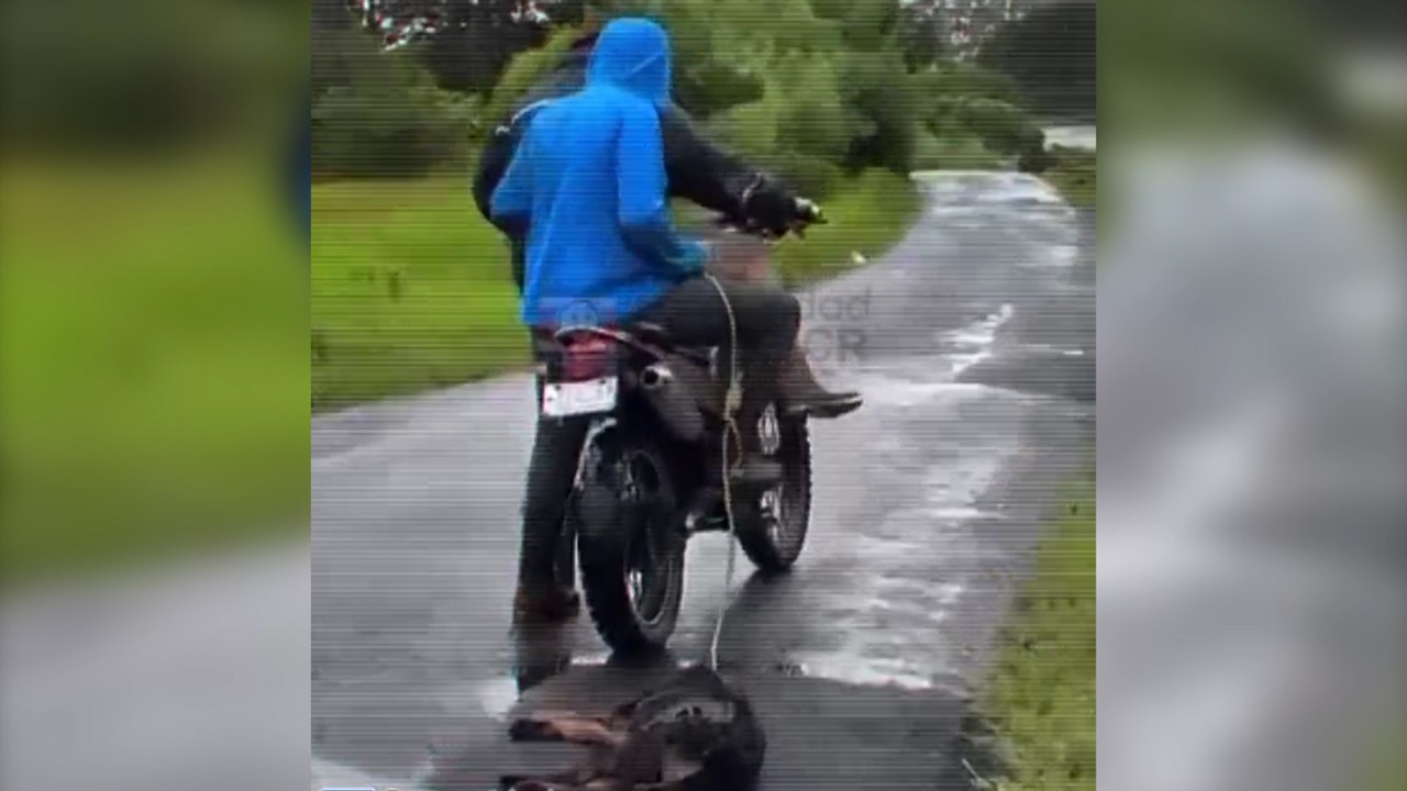 tn7-atado-y-arrastrado-desde-una-moto-perrito-es-rescatado-tras-brutal-agresión-en-moravia-050825
