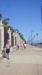 El lugar donde el alma de La Habana cobra vida: Un paseo por el Malecón 🌊🇨🇺