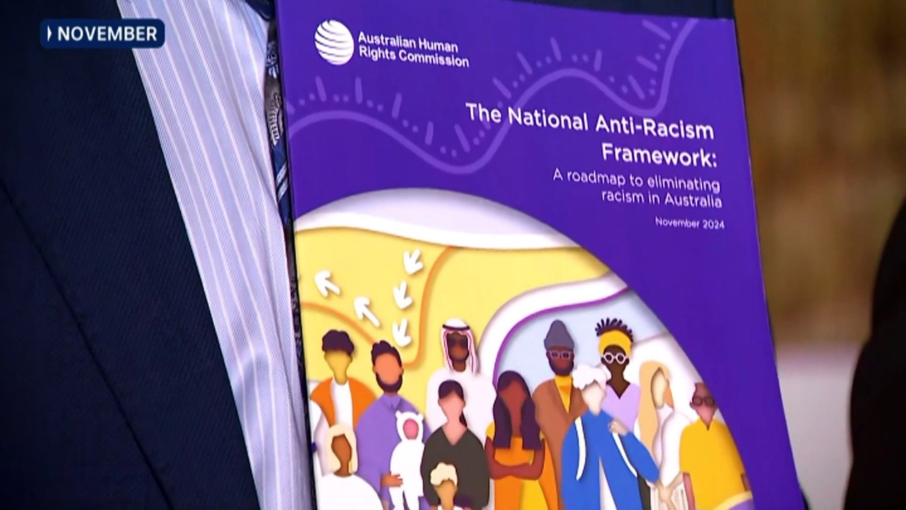 Race Discrimination Commissioner calls for more coordinated action to combat racism
