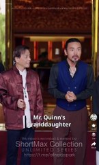 My Reversal Full Chinese Drama